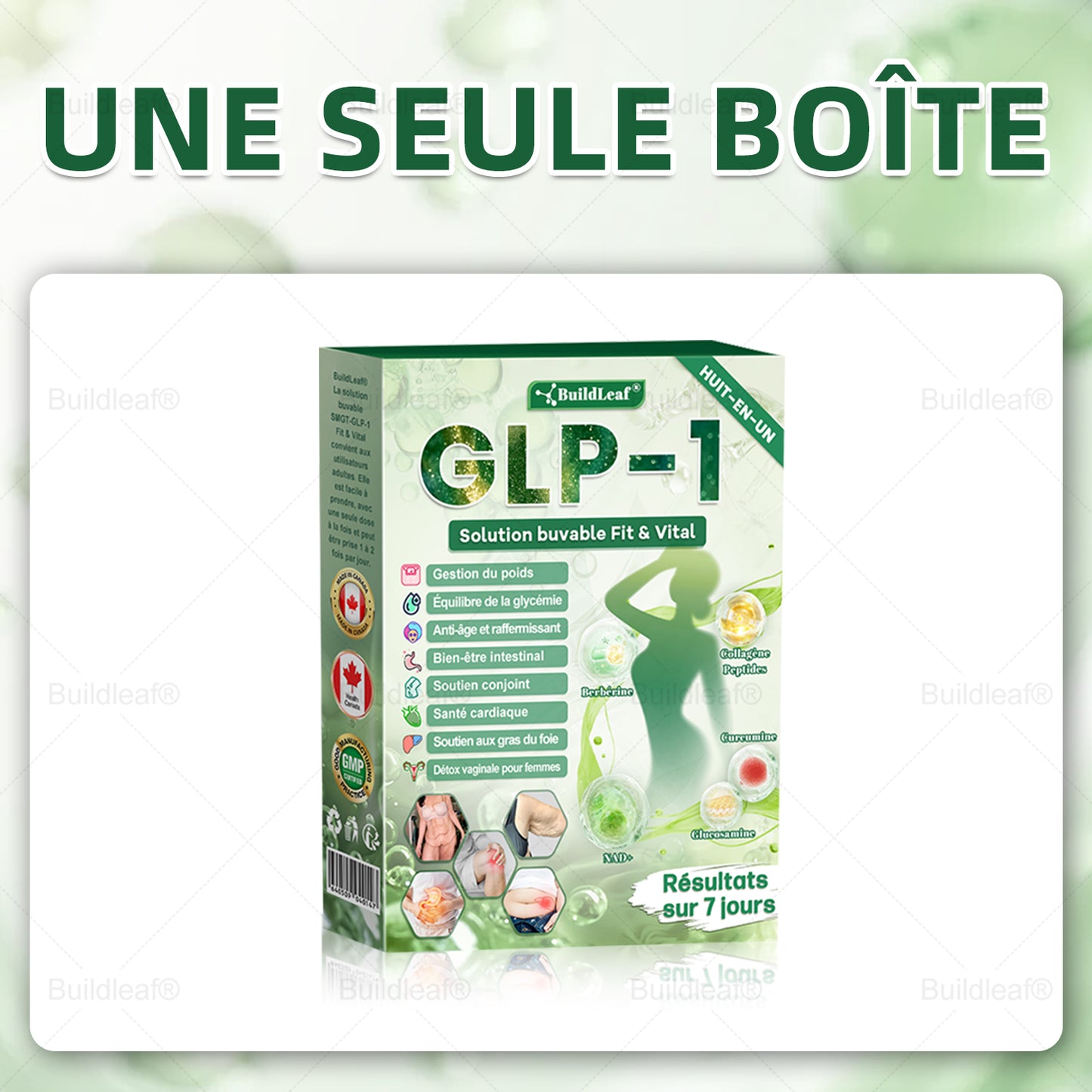 🇨🇦 Boutique Officielle CA  𝑩𝒖𝐢𝒍𝒅𝑳𝒆𝒂𝒇® Solution Orale 8-en-1 Fit & Vital 🕒 Résultats visibles en 7 jours — 1 dose par jour  ✅ Pour :•Poids•Cœur•Sucre•Sommeil•Digestion•Articulations•Énergie•Plus